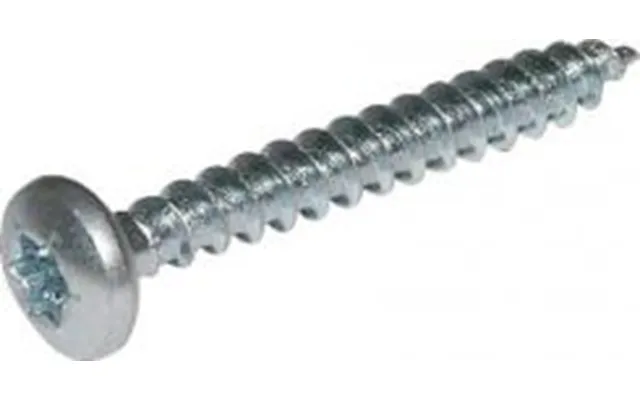 Spunskrue Panhoved Torx T20 4,5x70mm