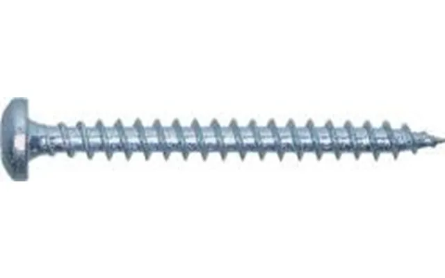 Spunskruer 4,0x30 Torx 20 Rustfri A4
