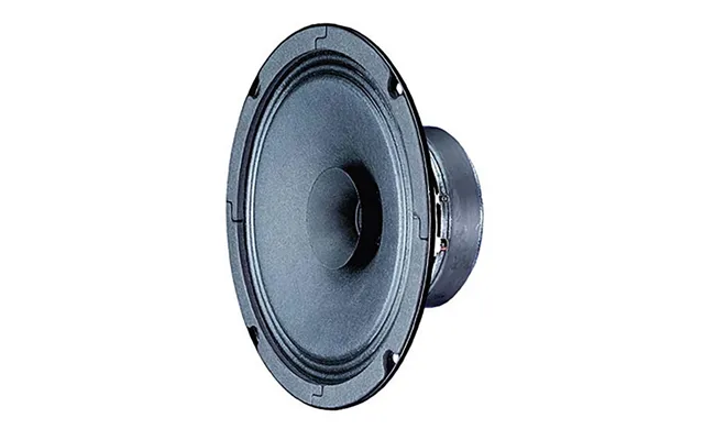 Bg 17 - 8 Ohm -16 Cm 6,5 Fuld-område Højttaler
