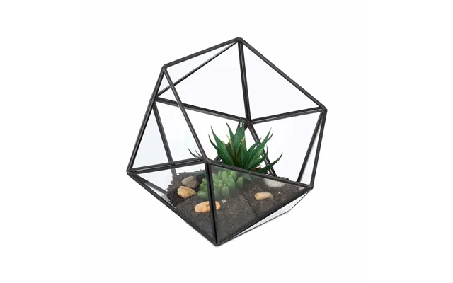 Geometrisk Glasterrarium Åbent Design Til Kaktus Og Sukkulenter