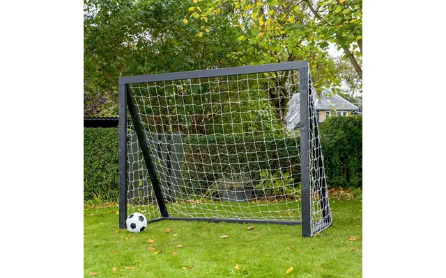 Homegoal Pro Senior - Sort