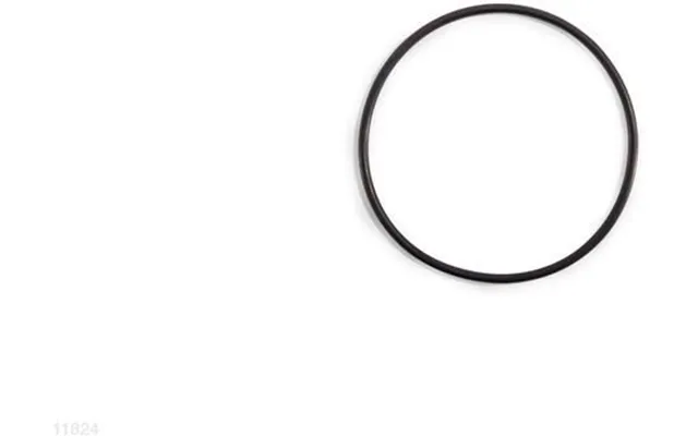 O-ring Til 305 Mm Sandfilterpumpe