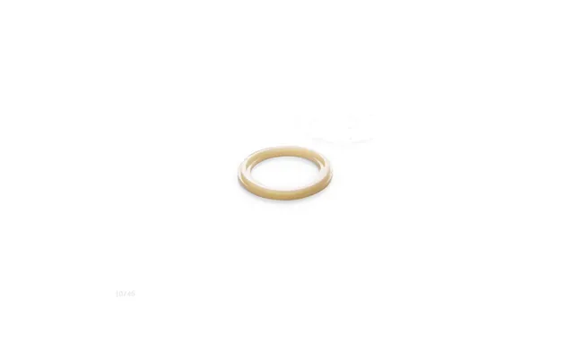 O-ring Til Intex Hane 10747