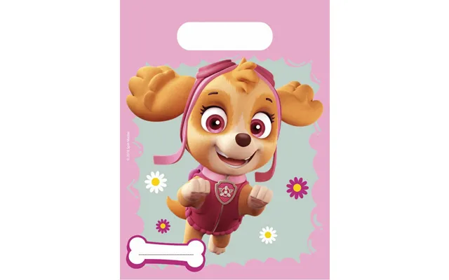 Paw Patrol Slikposer 6 Stk. - Skye Og Everest