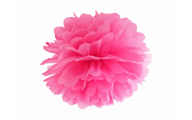 Pink Pompom 25 Cm.