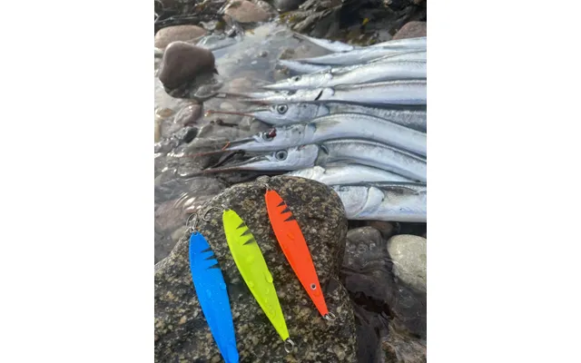 Fishnote Salty 18g - Hornfisk Kyst Pakken