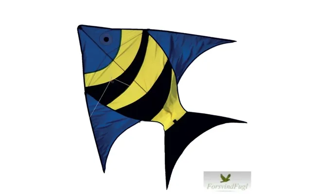 Dory Drage