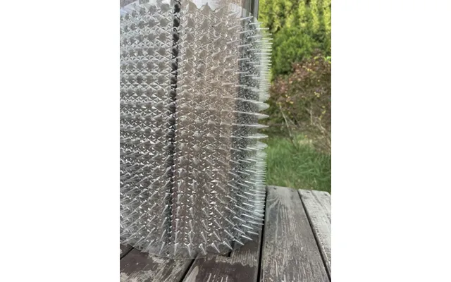 Kattepigge I Transparent Plast 42x33,80cm