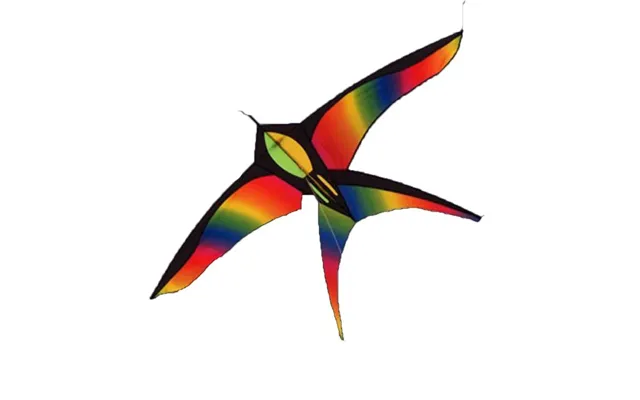 Regnbuefarvet Fugle Drage