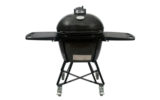 Primo Grill Large 300 All In One