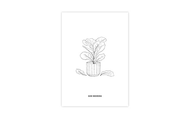 God Bedring Plante
