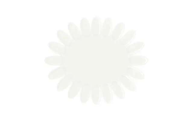 Negle Display - Oval
