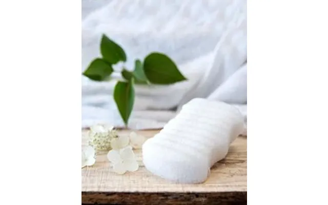 Organic Konjac Organic Konjac - Pure Kropssvamp