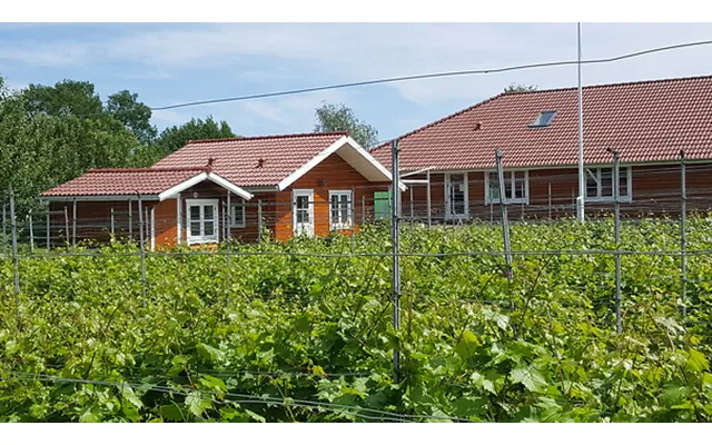 Go Dream Overnatning På Nyballe Vingård - Oplevelsesgaver