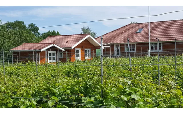 Go Dream Overnatning På Nyballe Vingård - Oplevelsesgaver