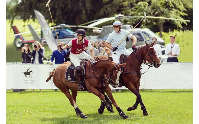 Go Dream Polospiller For En Dag - Oplevelsesgaver
