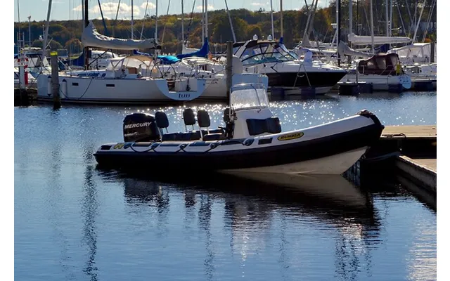 Go Dream Rib Sejlads I Aarhus - Oplevelsesgaver