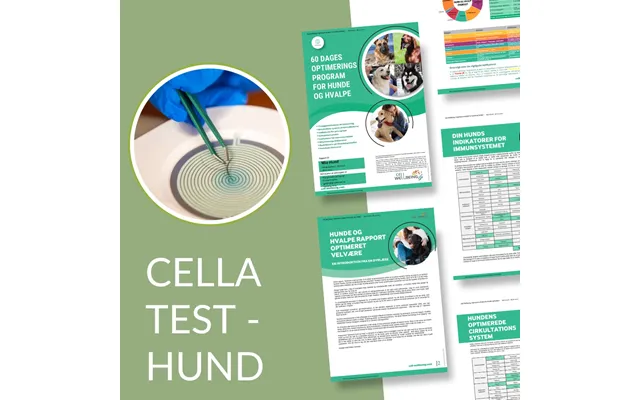 Cella Test - Hund