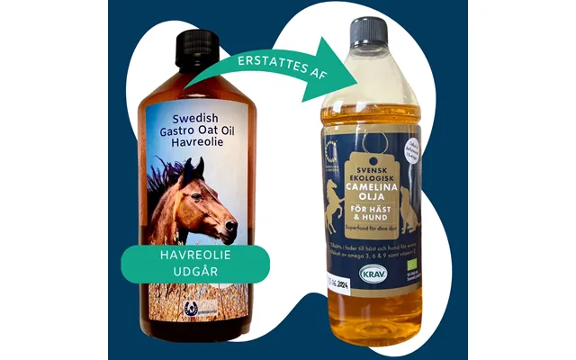Havreolie - Swedish Gastro Oat Oil