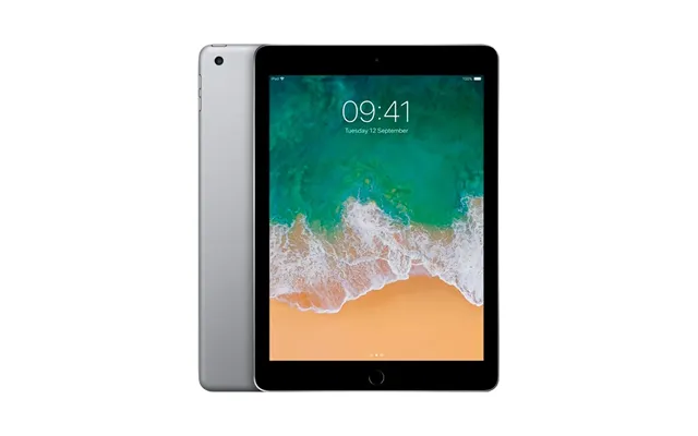 Brugt Ipad 9.7 5. Gen 2017 Cellular