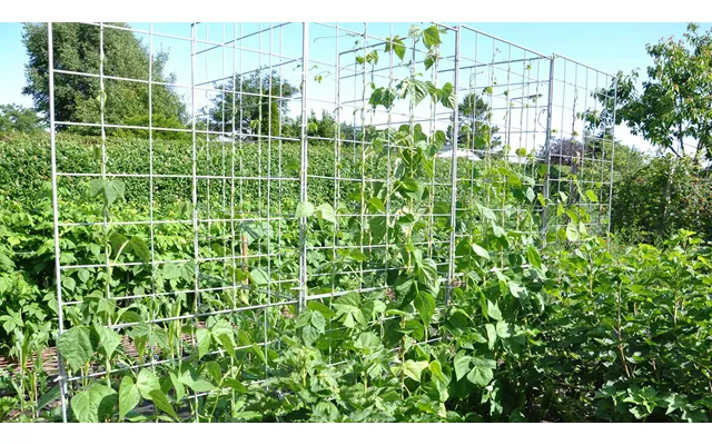 Espalier Galvaniseret 91x105 Cm