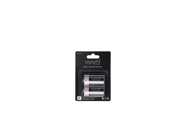 Uyuni C Batterier 1,5v - 2-pak