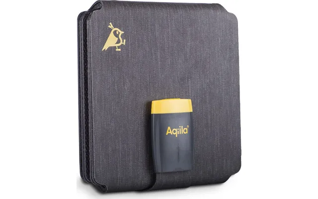 Aqiila - Sunbird P21