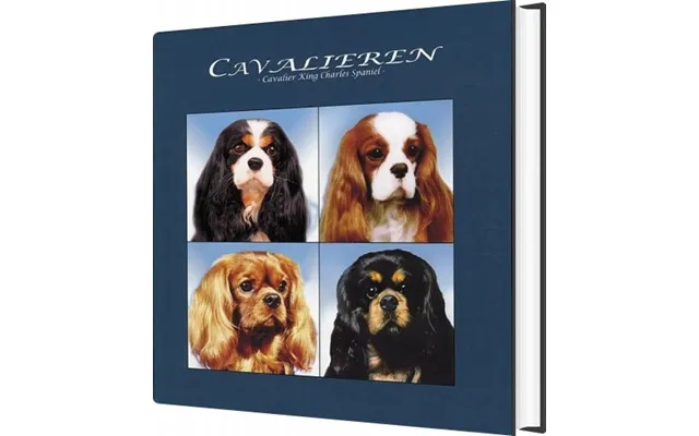 Cavalieren - Erik Fritzbøger