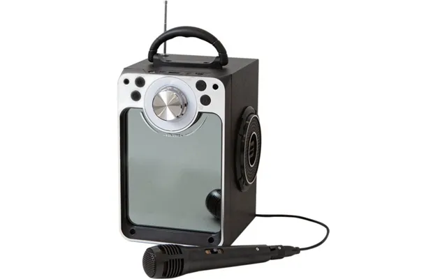 Karaoke Anlæg Med Mikrofon Og Bluetooth