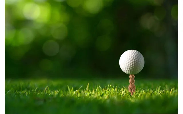 Kikkerland - Golf Tee