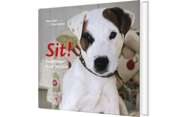 Sit - Maise Njor