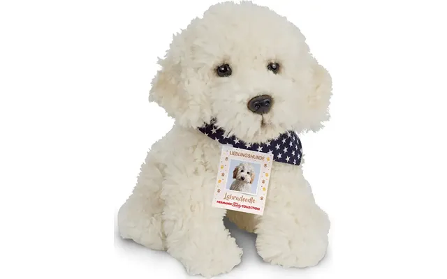Teddy Hermann - Labradoodle Hund