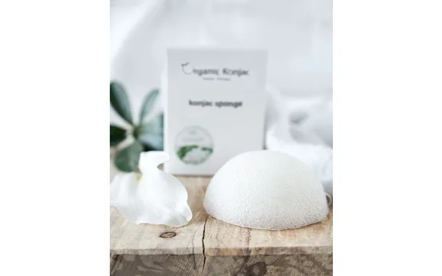 Organic Konjac Svamp - Til Ansigt