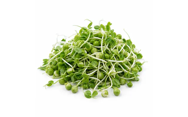 Ærteskud - 100g