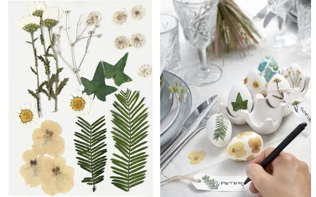 Tørrede Blomster Og Blade - Råhvid. 19 Ass