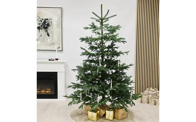Juletræ På 200 X 144 Cm - Kunstigt Normann Pe Juletræ U Led