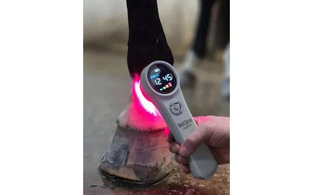 Hest Laser Pro 3.0 Heat Sense Horse - Red Light Therapy