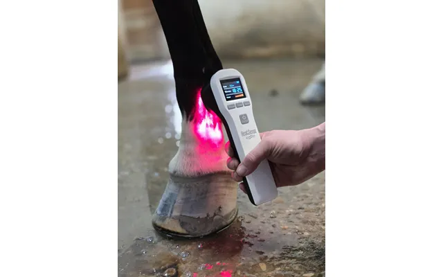 Hest Laser S 2.0 Heat Sense Horse - Red Light Therapy
