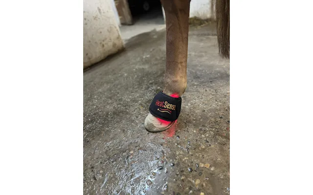 Rød Lys Terapi Klokker Til Hest 2.0 Heat Sense Horse - Red Light Therapy