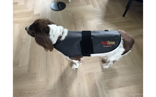Rød Lysterapi Tæppe Til Hunde Small - Red Light Therapy