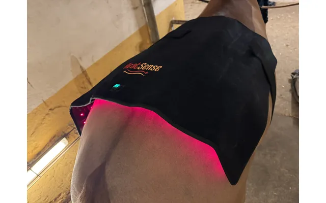 Stor Rød Lys Terapi Pad 2.0 Til Hest Heat Sense Horse - Red Light Therapy