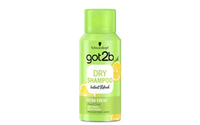 Schwarzkopf Got2b Dry Shampoo 100ml