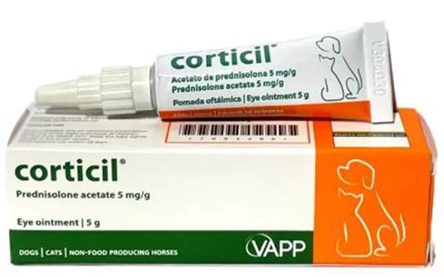Vapp Corticil Eye Ointment For Dogs Cats 5g