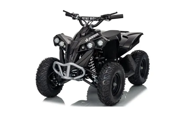 Azeno Atv - Warrior 1000w 48v