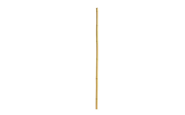 Greenhand Snobrødspinde Bambus - 12875