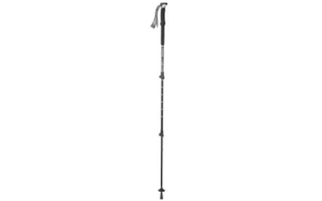 Stryder - 2 Pc Walking Pole Set