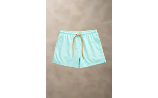Swim Shorts