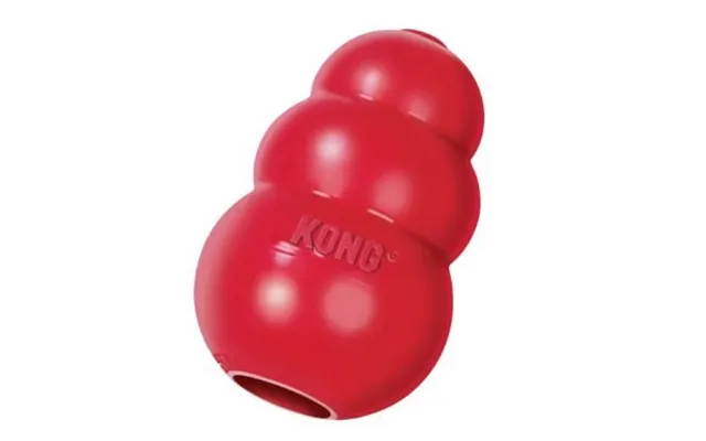Kong Classic - Large