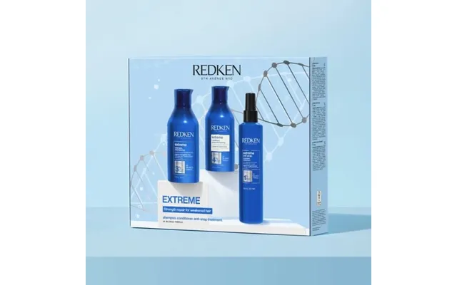 Redken Extreme Holiday Gift Set Limited Edition