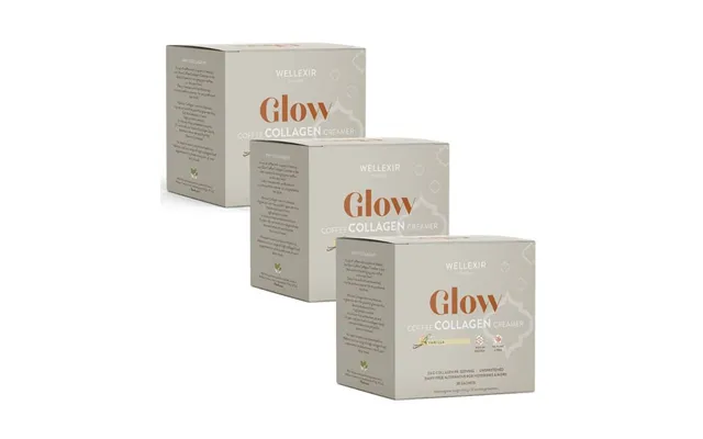 Wellexir Glow Coffee Creamer Vanilla 30 Sachet Box X3